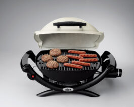 Q 1000 Gas Grill