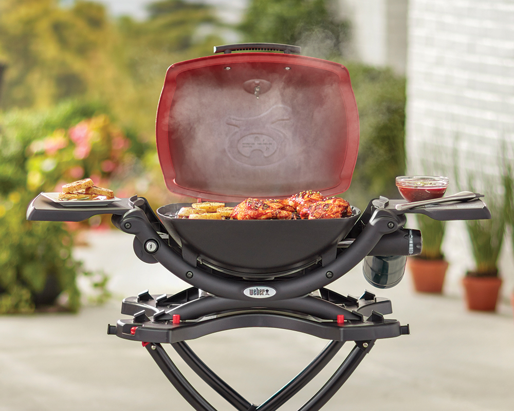 DeLuxe 2-Burner Propane Gas Grill in Red