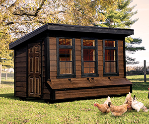 Chicken Coops